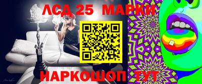 ГАЛЛЮЦИНОГЕННЫЕ ГРИБЫ Кандалакша