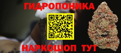 ГАЛЛЮЦИНОГЕННЫЕ ГРИБЫ Кандалакша