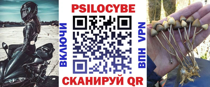 Псилоцибиновые грибы GOLDEN TEACHER  магазин продажи наркотиков  Янаул 