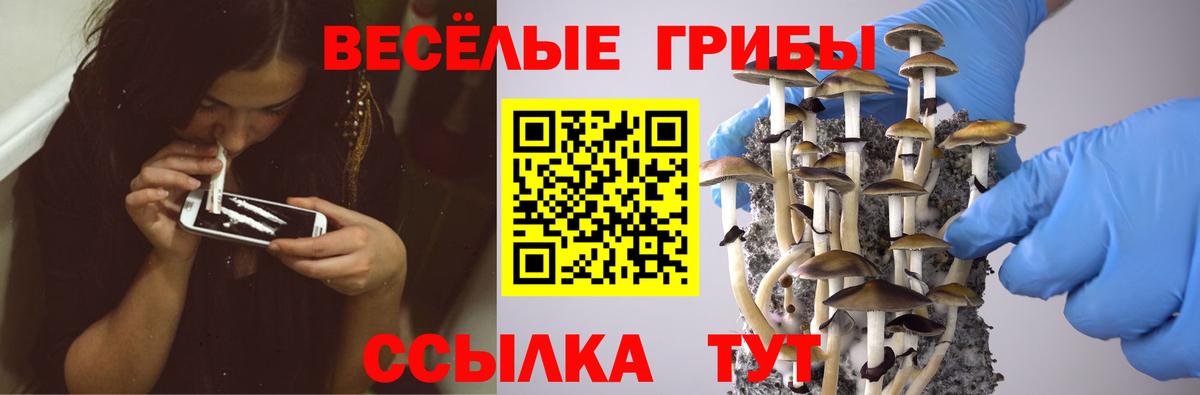 Янаул  Псилоцибиновые грибы GOLDEN TEACHER  Вход с VPN 